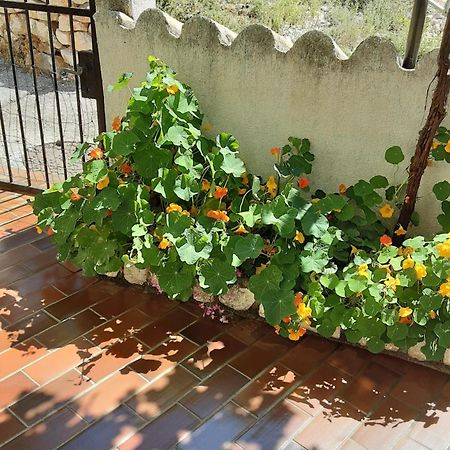 Apartman Legac Starigrad  Εξωτερικό φωτογραφία