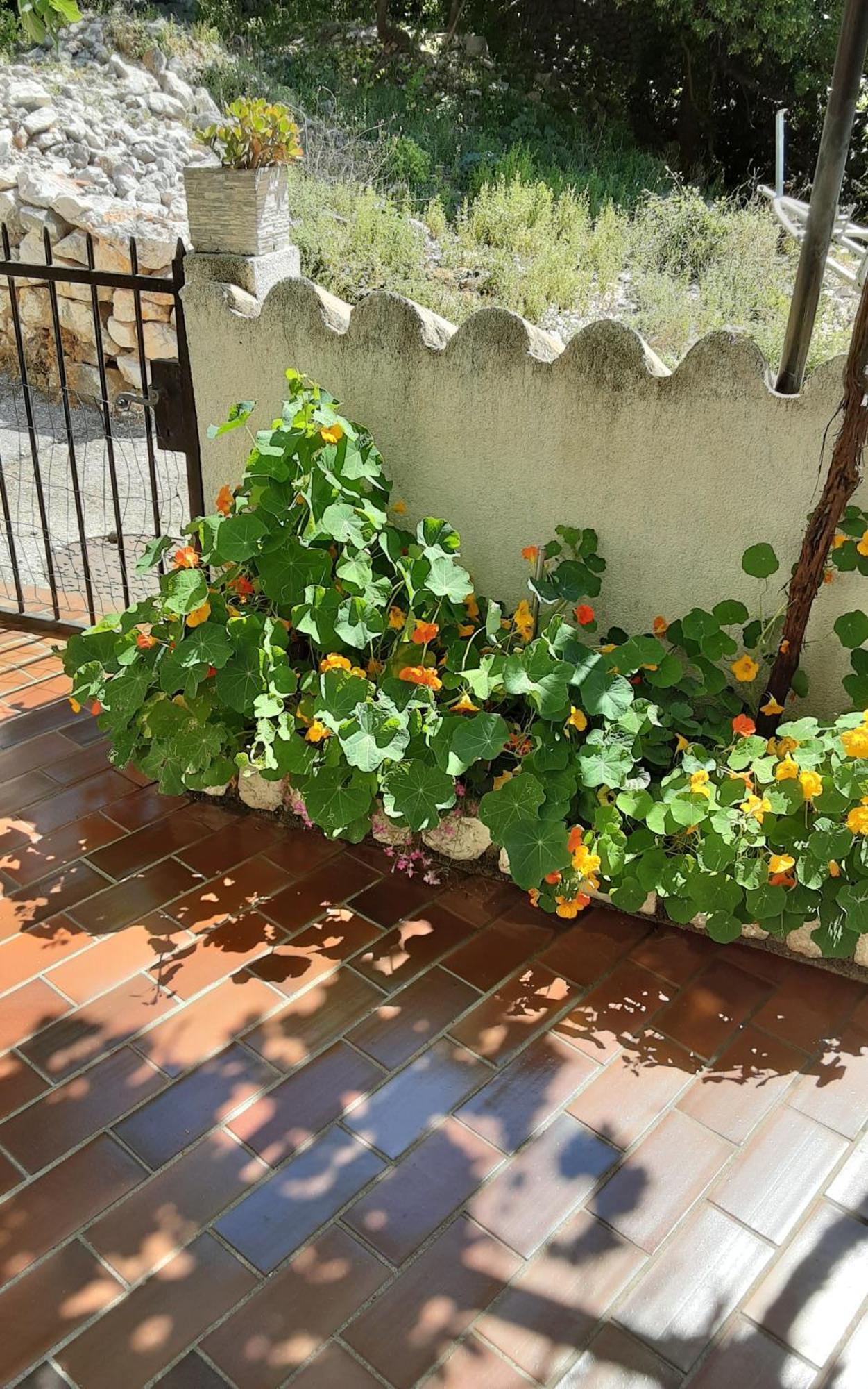 Apartman Legac Starigrad  Εξωτερικό φωτογραφία