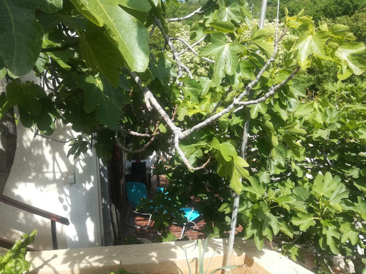 Apartman Legac Starigrad  Εξωτερικό φωτογραφία