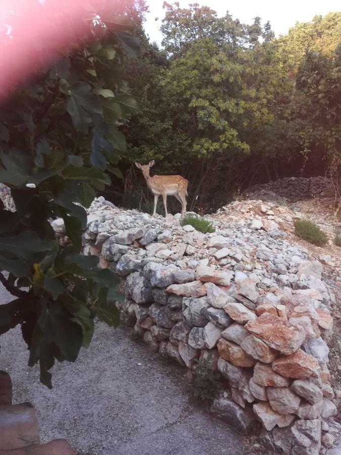 Apartman Legac Starigrad  Εξωτερικό φωτογραφία